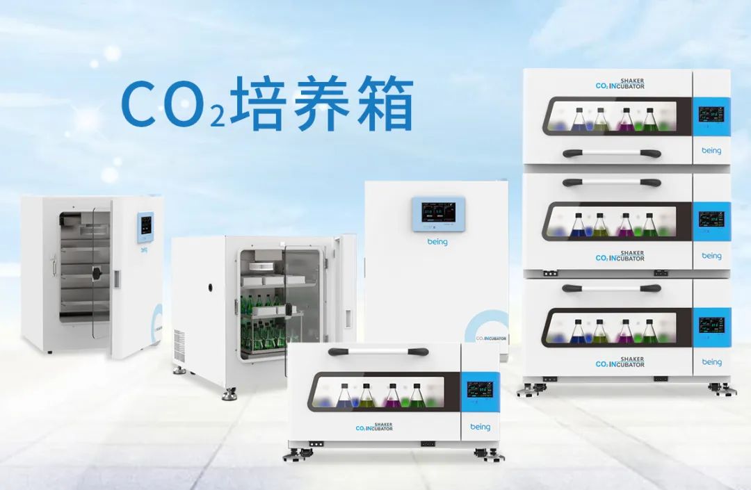 贝茵CO2培养箱